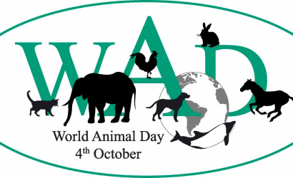 World Animal Day - Az Állatok Világnapja