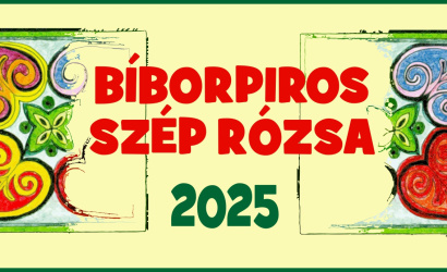 Bíborpiros szép rózsa – 2025, felhívás