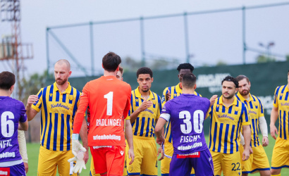 Az Austria Wien - DAC 1904 előkészületi mérkőzés előtt