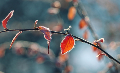 Bekeményít a tél, éjszaka akár - 19 fokig is hűlhet a levegő