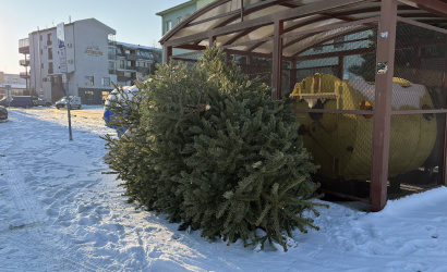 Karácsonyfa-elszállítás januárban