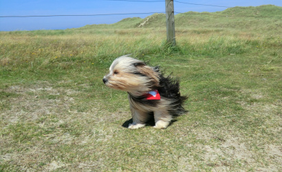 Erős szél, néhol eső és lehűlés jellemzi a hétvége időjárását
