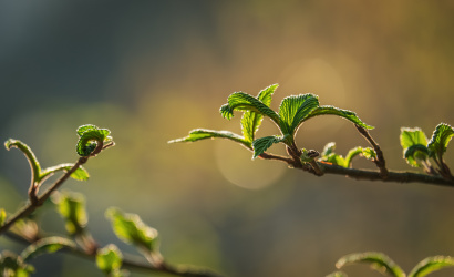 Ma hajnalban egy órát ugrott az idő, elkezdődött a nyári időszámítás