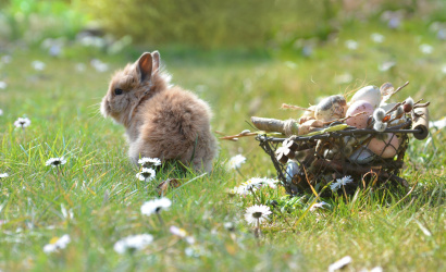 Ilyen időre számíthatunk a húsvéti ünnepek alatt