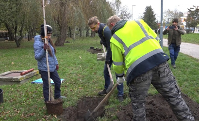 Embedded thumbnail for Civilek közreműködésével kezdődött el az őszi faültetési program