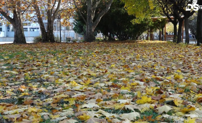Embedded thumbnail for Dunaszerdahely őszi hangulata