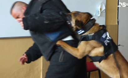 Embedded thumbnail for Látványos gyakorlatokon vettek részt a rendőrök és kutyáik