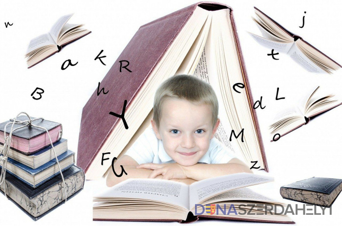 Illusztrációs felvétel, Pixabay.com Túljelentkezés van több dunaszerdahelyi városi alapiskolában