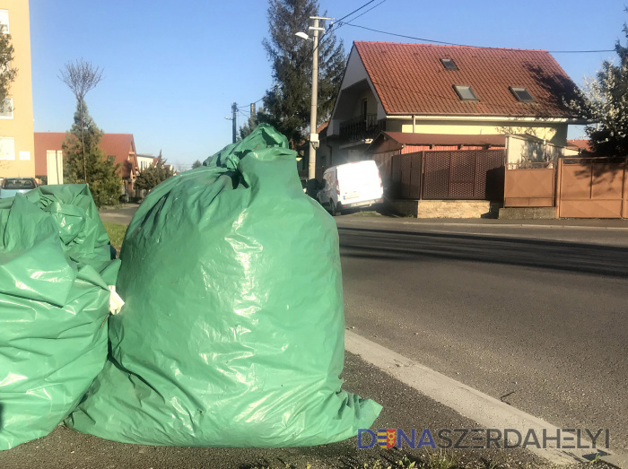Illusztrációs felvétel, Rózsár Vince A héten a fás szárú kerti hulladékot is elszállítják