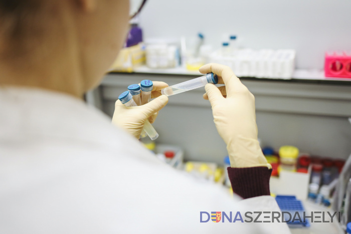 Illusztrációs felvétel (pexels) Döntött a kormány – önkéntes lesz az országos tesztelés!