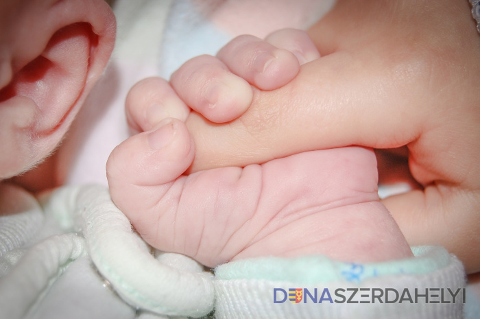 Illusztrációs felvétel, Pixabay.com Kérelmezheti a Köldökzsinór program ellátásait
