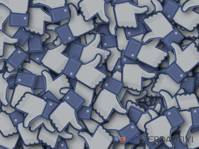 Illusztrációs felvétel (pixabay) Eltűnnek a lájkok a Facebook-oldalakról