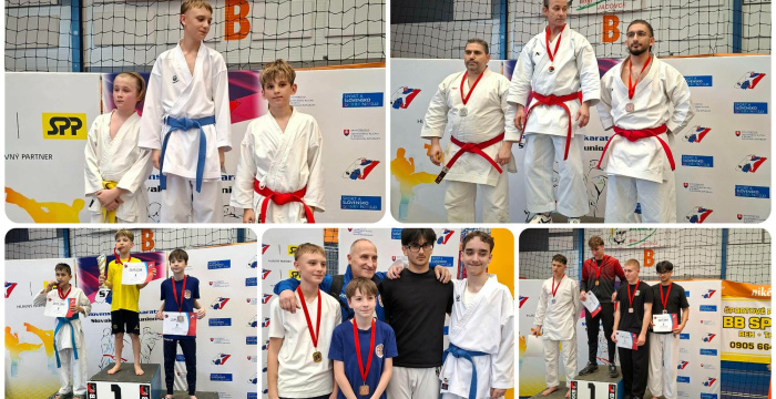 IPPON-érmek Nagytapolcsányból