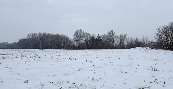 Tudja, hogyan segíthet egy kihűlt emberen? Az alkoholt és a forró vizet kerülni kell