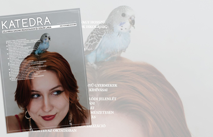 Esélyteremtés a Katedrában