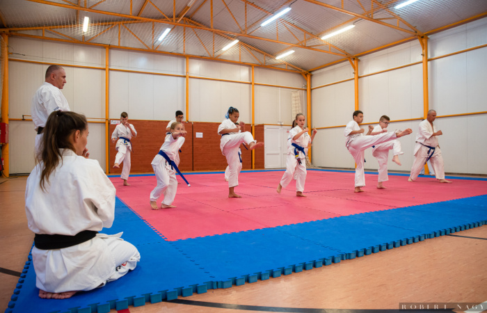 Új tanfolyamot hirdet a Seishin Karate Klub