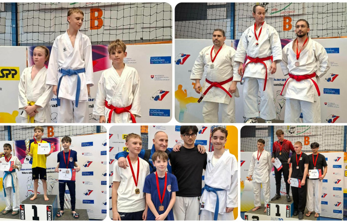 IPPON-érmek Nagytapolcsányból