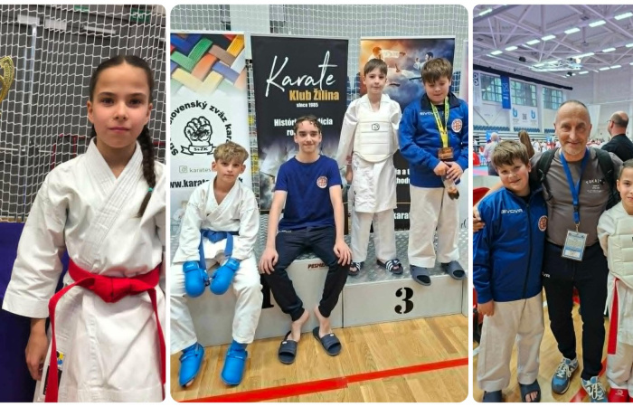 IPPON-érmek Zsolnáról