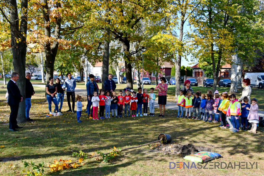 Folytatódott a városi faültetési program