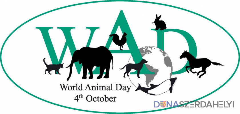 World Animal Day - Az Állatok Világnapja