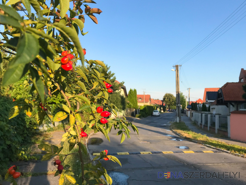 Ősz, majd visszatérő nyár