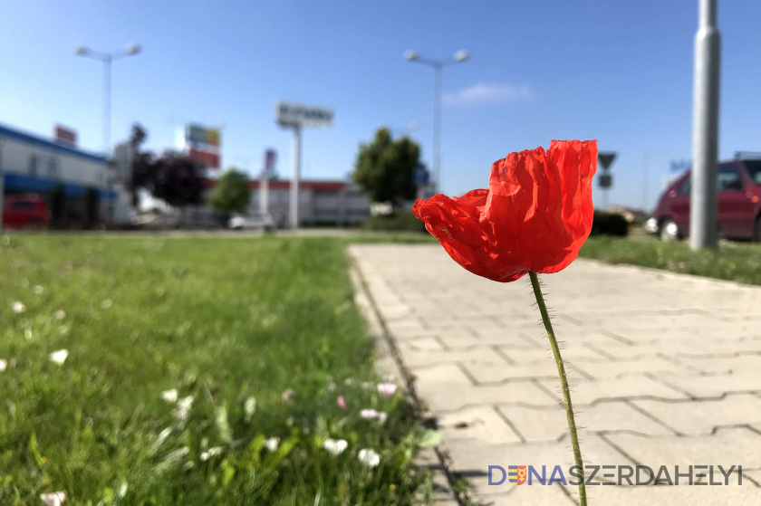 Illusztrációs felvétel, Rózsár Vince Csapadékos hetet várhatunk