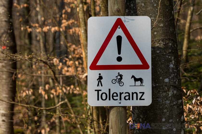 Mit gondolnak a szlovákiai kisebbségben élő gyerekek a toleranciáról?