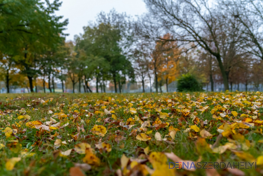 Várunk, míg felsüt majd a nap