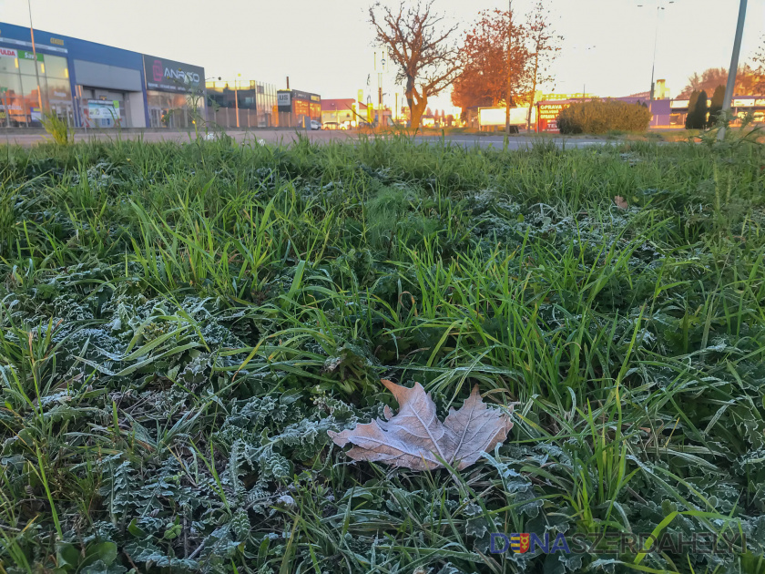 Illusztrációs felvétel, Rózsár Vince Mit hoz a Mikulás?