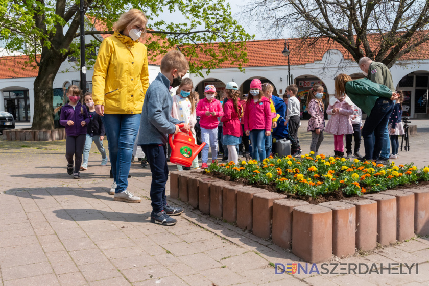 Szebbé, üdébbé lehet tenni a világot és a várost