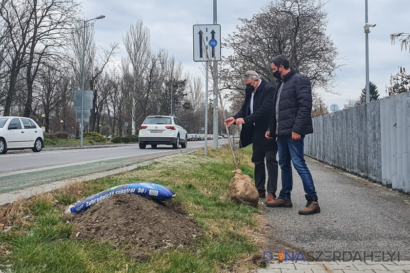 A Jesenský utcai faültetéssel indult az idei zöldprogram