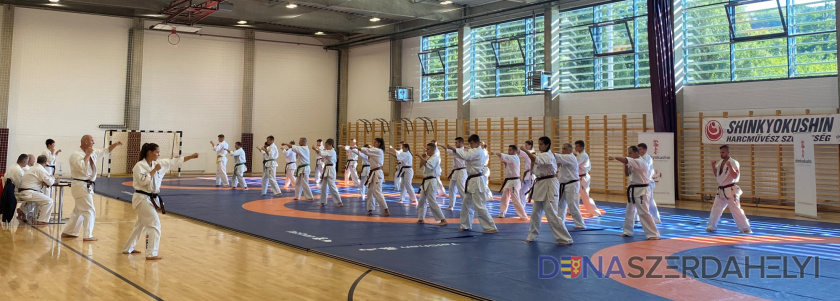 Sikeres mestervizsgák tettek a Seishin karate Klub edzői