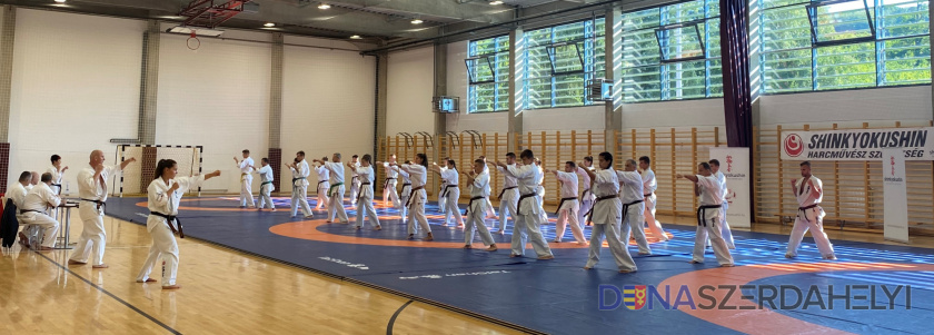 Seishin Karate Klub felvétele Sikeres mestervizsgák tettek a Seishin karate Klub edzői