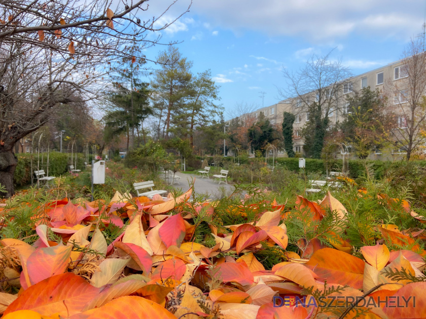 Átlagos november: napsütéssel, esővel