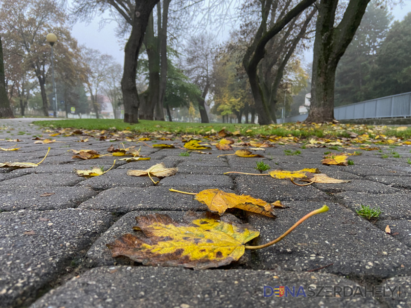 Kitartóan enyhe ősz