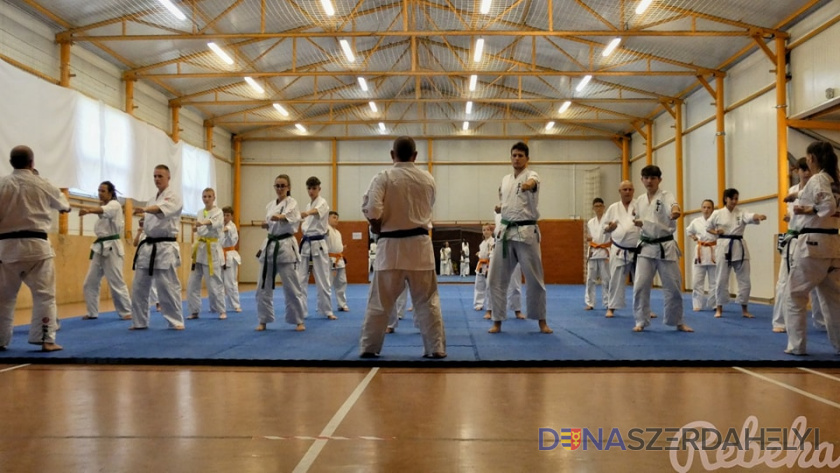 Új tanfolyamot hirdet a Seishin Karate Klub