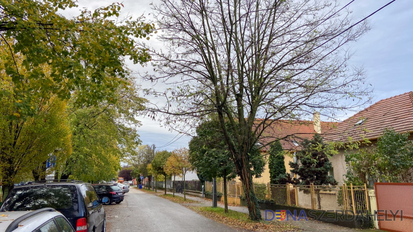 A villamosművek felhívása