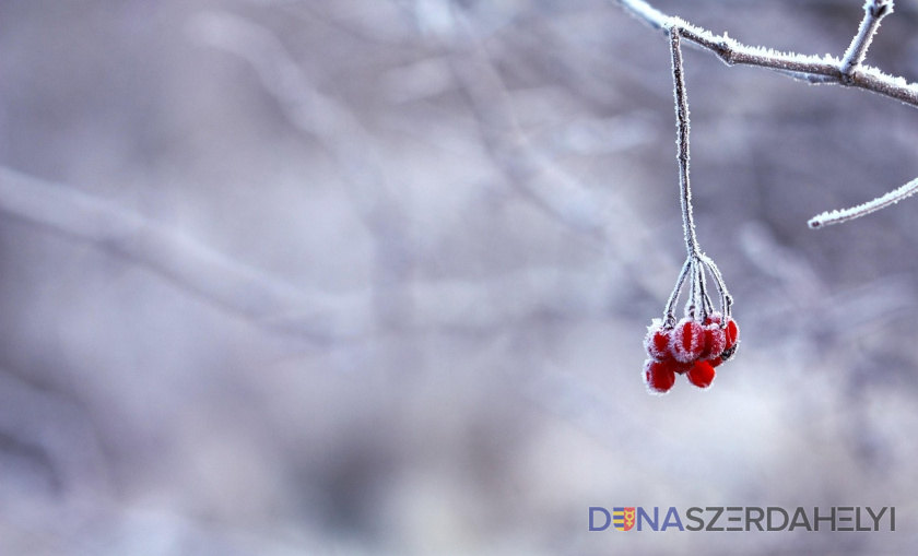 Illusztrációs felvétel (pixabay) Komoly fagyokkal számolhatunk