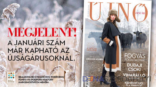 Illusztráció (Új Nő) Megjelent az Új Nő januári száma