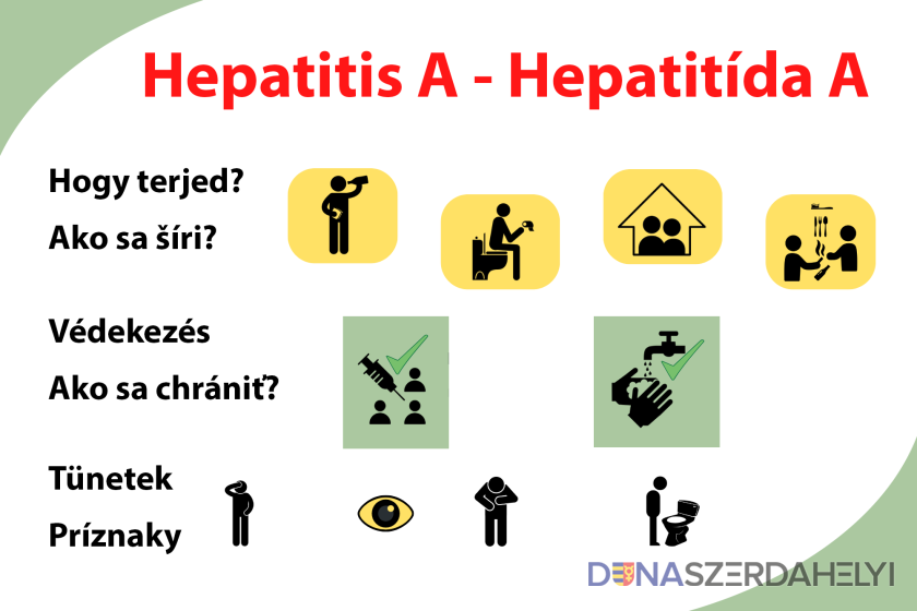 Hepatitis A – Hogyan védekezzünk, hogyan ismerjük fel a betegséget