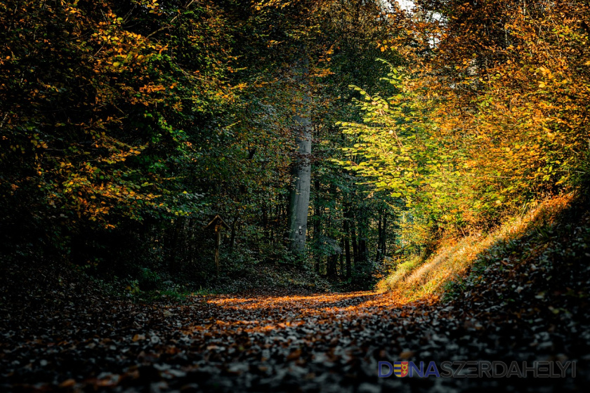 Illusztrációs felvétel (pixabay) Fokozatosan erősödik a nappali felmelegedés