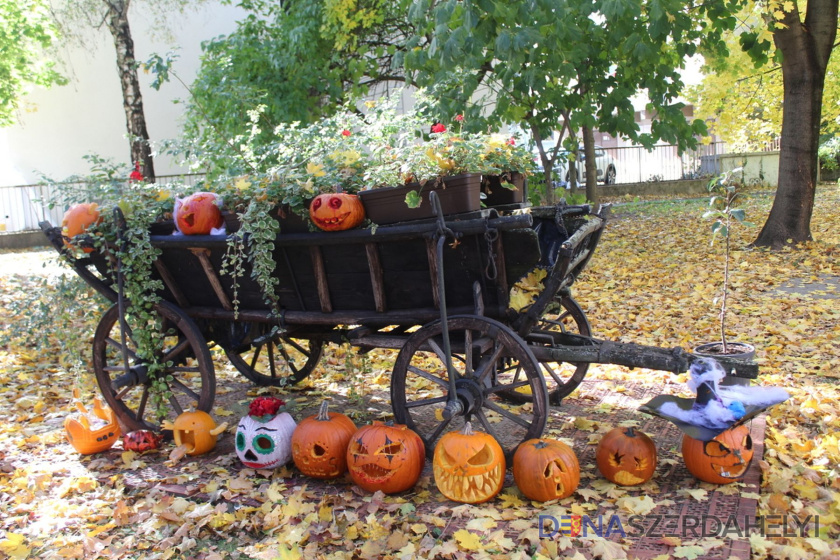 Az akció nemcsak vidám, hanem jótékony célt is szolgált (Vidékfejlesztési Szakközépiskola és Középfokú Sportiskola) Több mint Halloween – a kreativitás és az összefogás napja