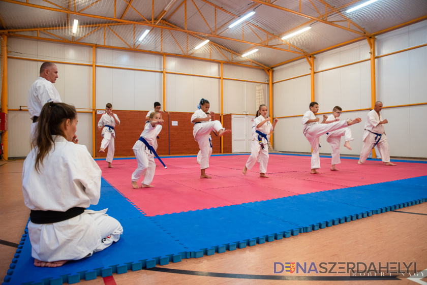 Új tanfolyamot hirdet a Seishin Karate Klub