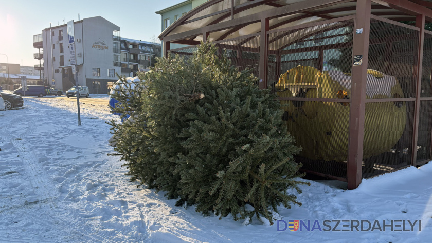 Karácsonyfa-elszállítás januárban