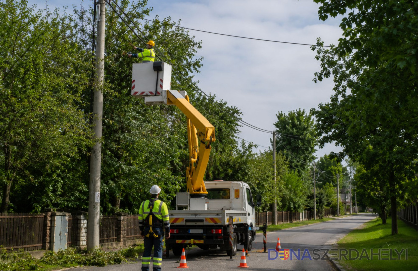 Értesítés: faágmetszési munkálatok az elektromos vezetékek mentén