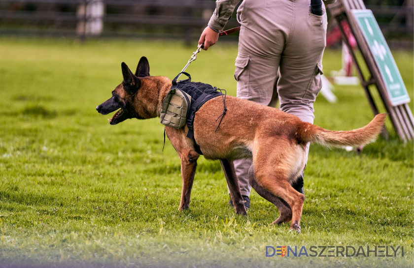 dunstreda.sk Medzinárodné stretnutie psovodov K9 v Dunajskej Strede – obyvatelia musia počítať so zvýšenou hlučnosťou