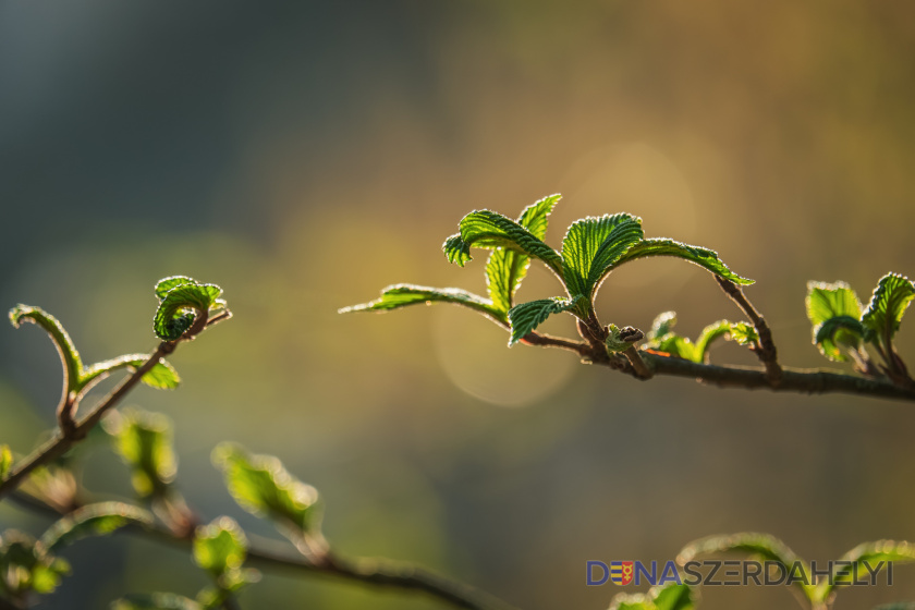 Illusztrációs felvétel (pixabay) Ma hajnalban egy órát ugrott az idő, elkezdődött a nyári időszámítás