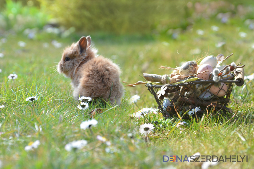 Illusztrációs felvétel: pixabay.com Ilyen időre számíthatunk a húsvéti ünnepek alatt