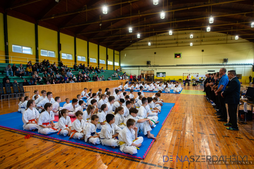 Seishin Karate Klub, Robert Nagy Kovács Kata Zsófia-emlékverseny – dunaszerdahelyi érmesekkel