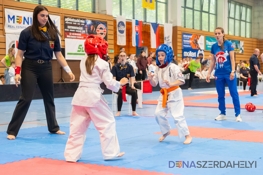Új tanfolyamot hirdet a Seishin Karate Klub